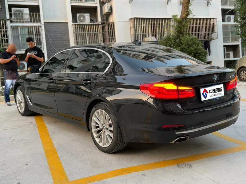 BMW 5 Series 2020 530Li Premium Luxury Package — 5