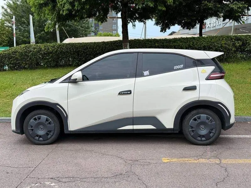 Seagull 2024 Glory Edition 305km Vitality Edition — 3