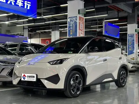 Seagull 2025 Smart Driving Edition 405km/h Comfort Edition