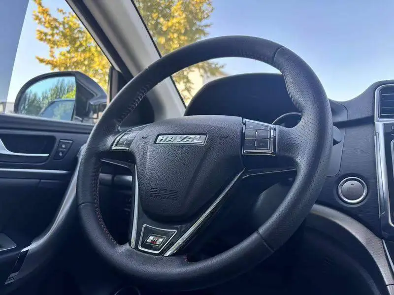 Haval H6 2017 Red Label Sports Edition 1.5T Automatic 2WD Luxury Model — 10