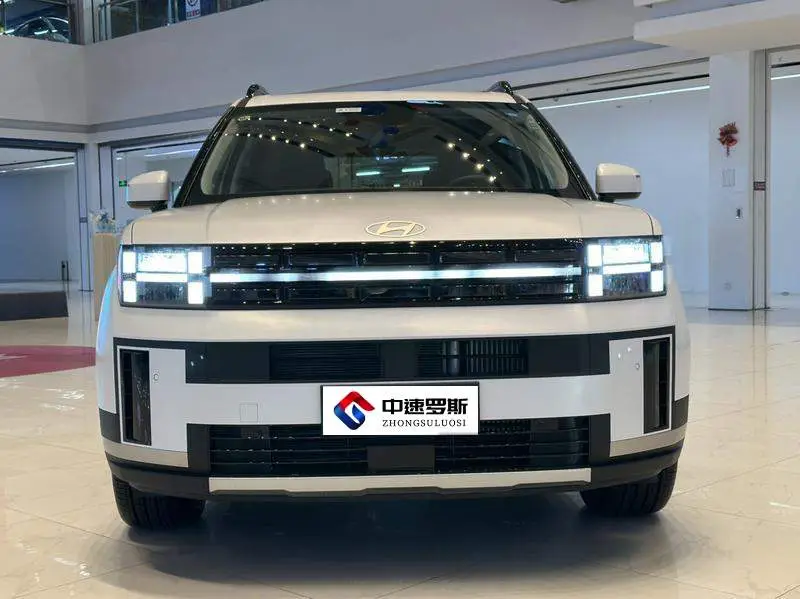 Shengda 2024 2.0T Explorer Pro — 2