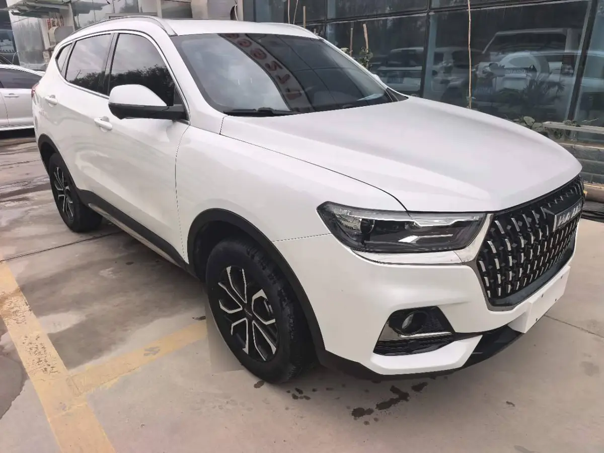 Haval H6 2023 National Trend Edition 1.5T Automatic City Edition — 3