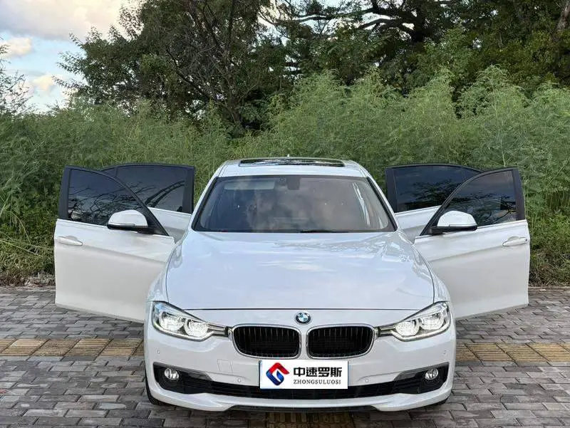 BMW 3 Series 2016 320Li Progressive Edition — 2