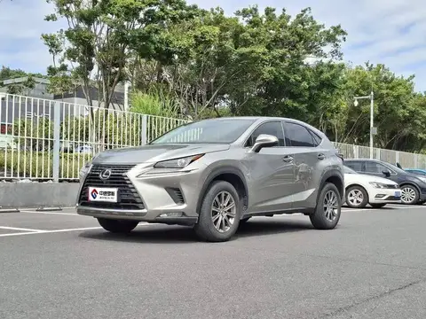 Lexus NX 2020 200 Front-Drive Fengyi Edition National VI