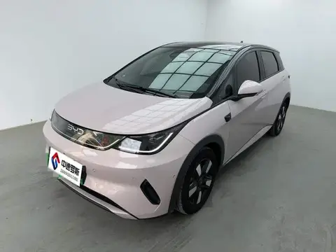 dolphin 2025 Smart Driving Edition 410km Fashion Edition