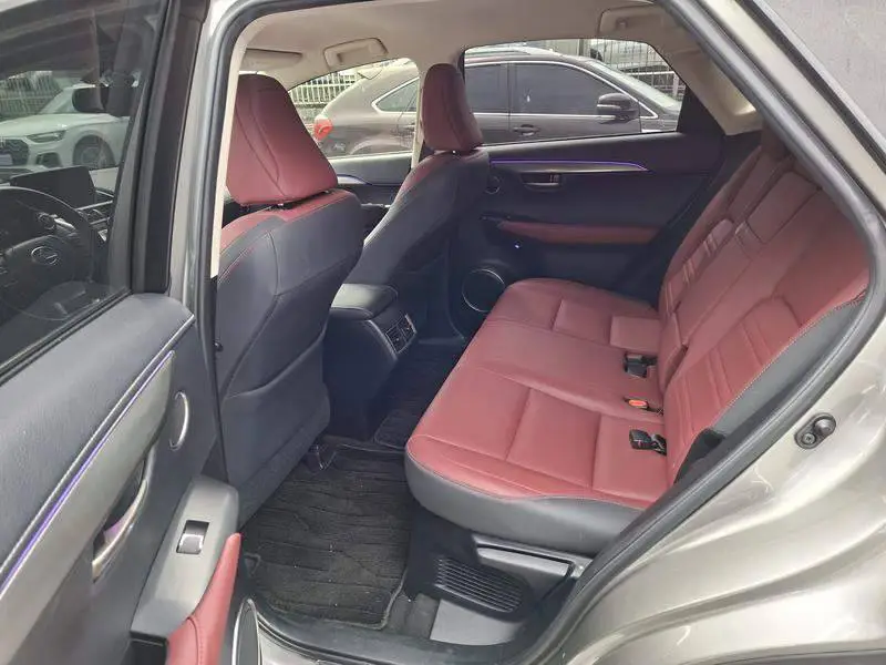 Lexus NX 2020 200 Front-Drive Fengyi Edition National VI — 19