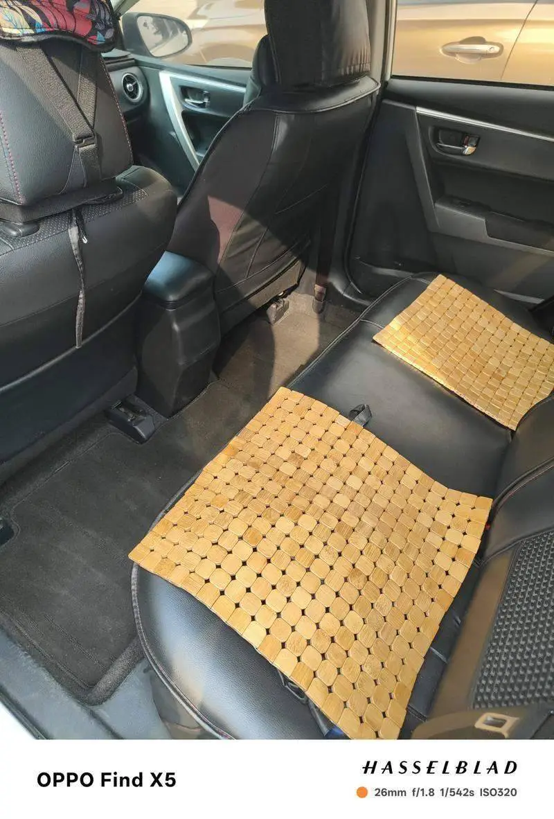 Lei Ling 2017 185T CVT Elite Edition National VI — 9