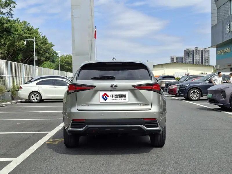 Lexus NX 2020 200 Front-Drive Fengyi Edition National VI — 5