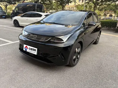 dolphin 2025 Smart Driving Edition 410km Fashion Edition