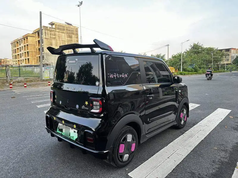 panda 2024 200km Panda Kart — 6
