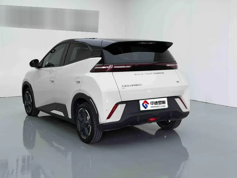 Seagull 2024 Glory Edition 305km Vitality Edition — 4