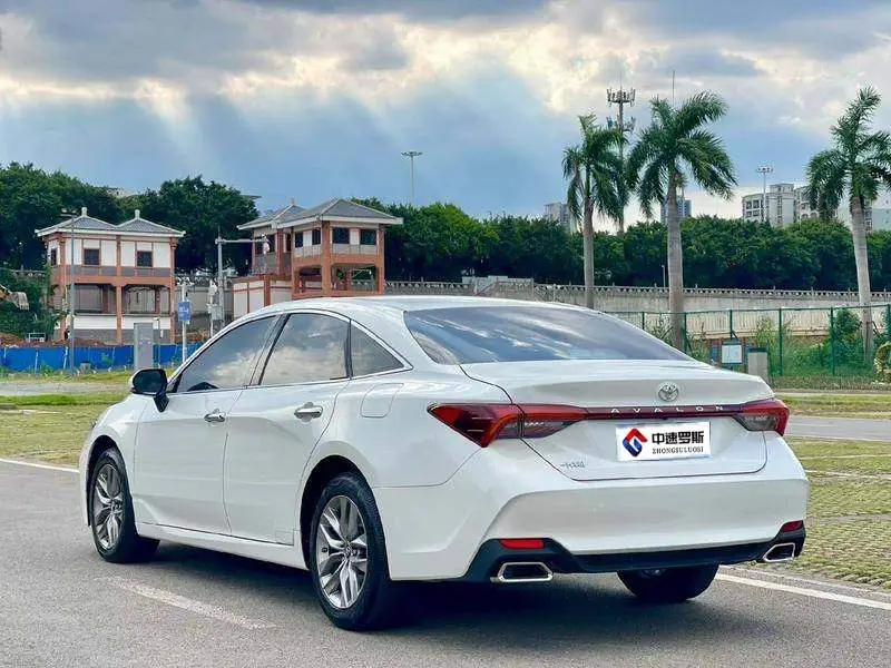Asian Dragon 2019 2.0L Luxury Edition National VI — 4