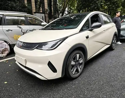 dolphin 2025 Smart Driving Edition 410km Fashion Edition