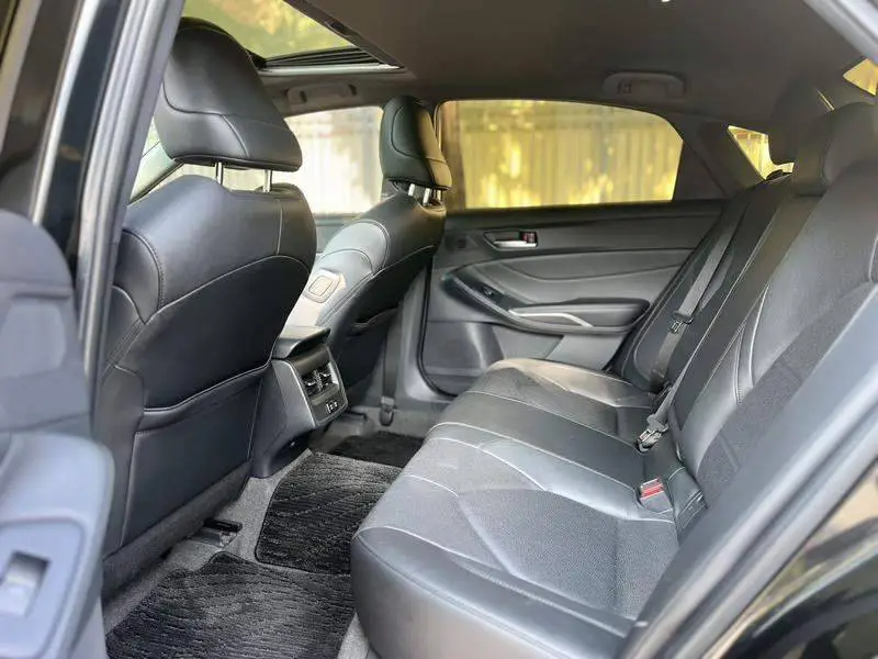 Asian Dragon 2019 2.0L Luxury Edition National VI — 15