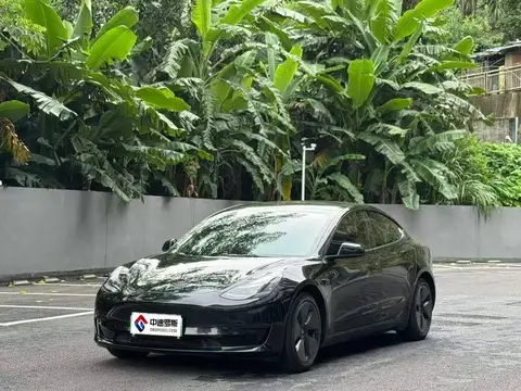 Model 3 2021 Standard Range RWD Upgraded 3D6