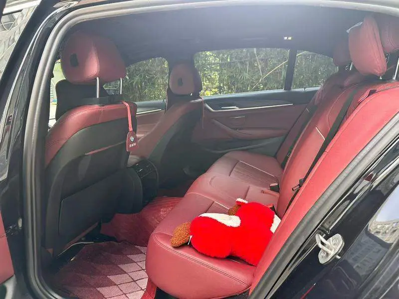 BMW 5 Series 2021 530Li facelifted M Sport package — 9