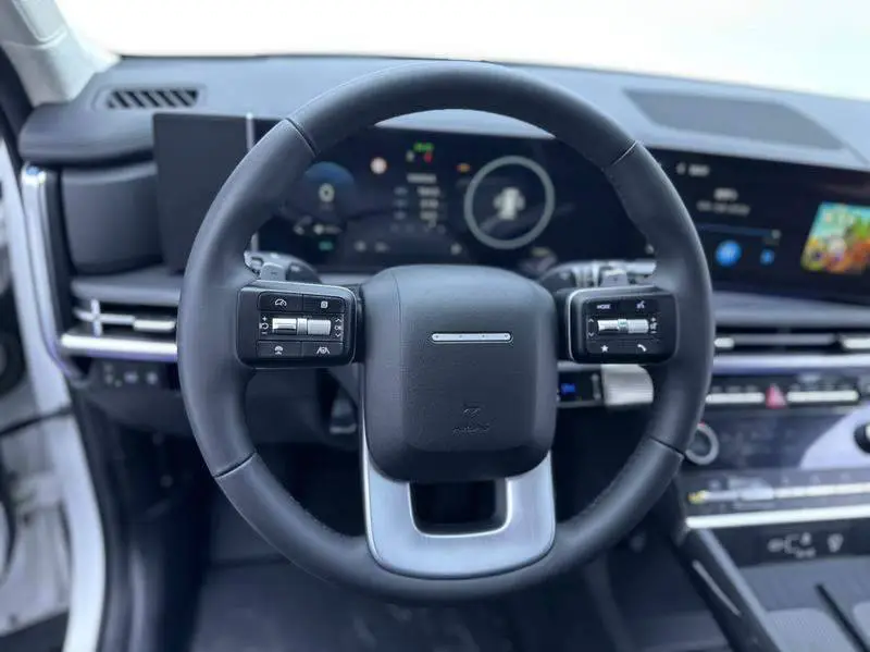 Shengda 2024 2.0T Explorer Pro — 16