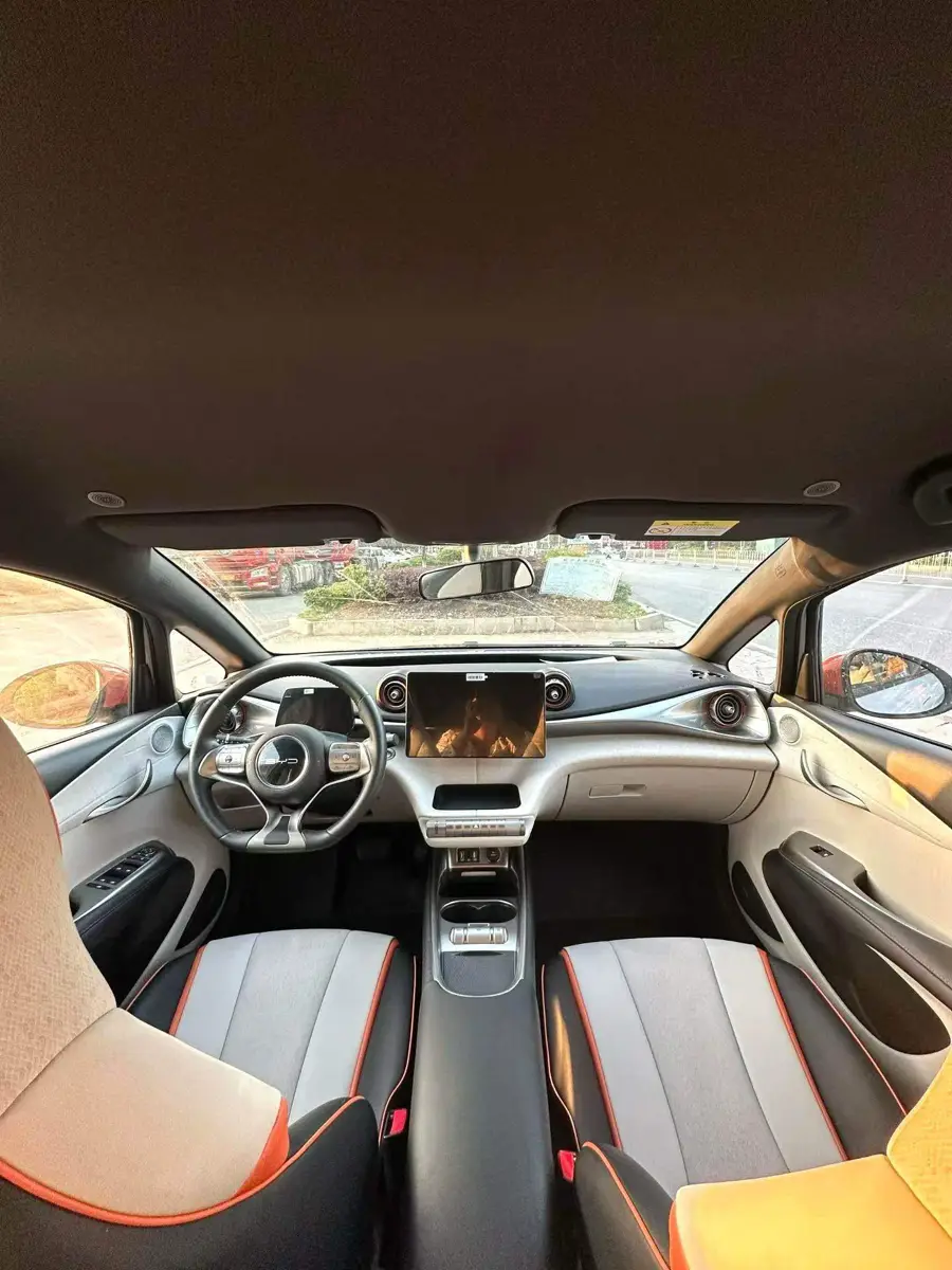 dolphin 2021 405km Freedom Edition — 10
