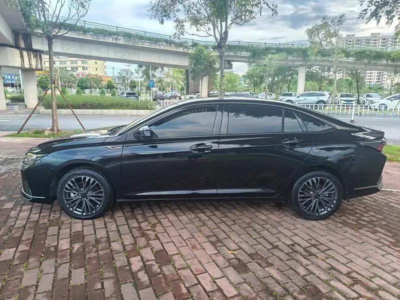 Yixuan MAX 2021 1.5T Super Dad Edition — 3