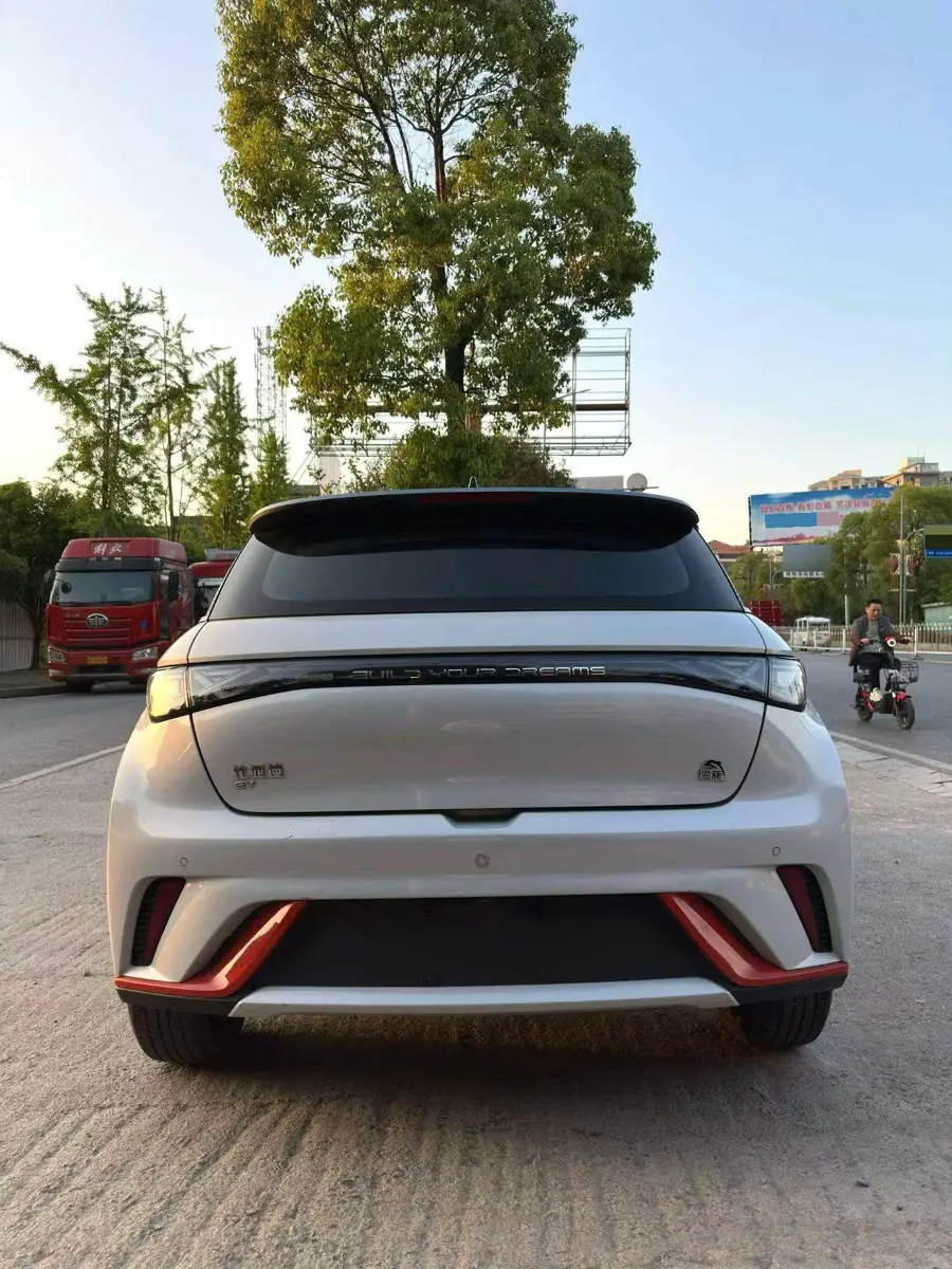 dolphin 2021 405km Freedom Edition — 5