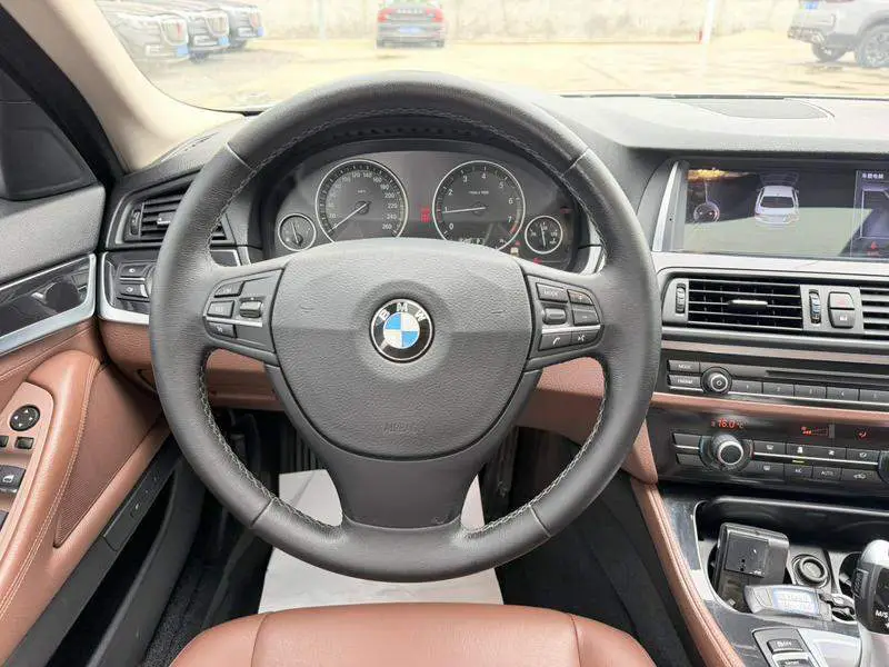 BMW 5 Series 2014 520Li Elegant Edition — 13