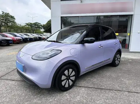 Wuling Bingo 2025 333km Lingxi Internet Model