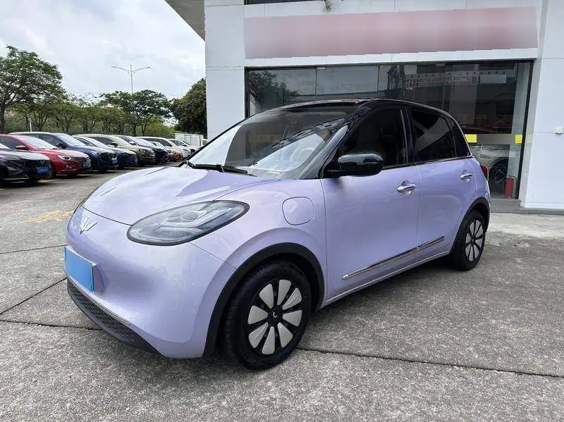 Wuling Bingo 2025 333km Lingxi Internet Model