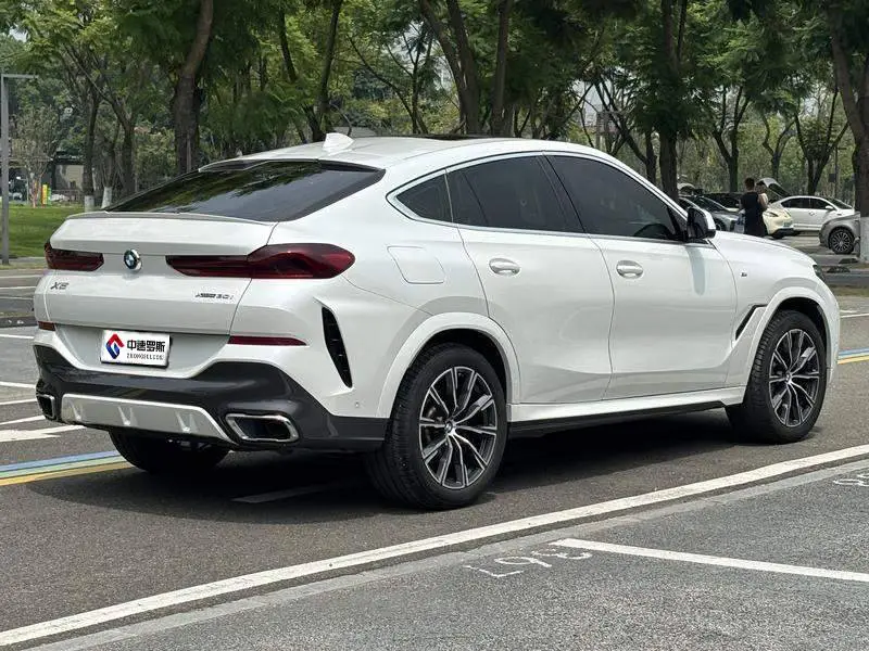 BMW X6 2021 xDrive30i M Sport Package — 7