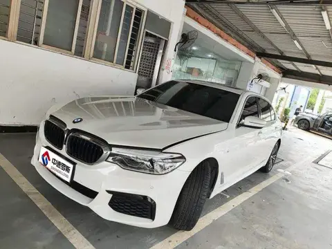 BMW 5 Series 2020 530Li Premium M Sport Package