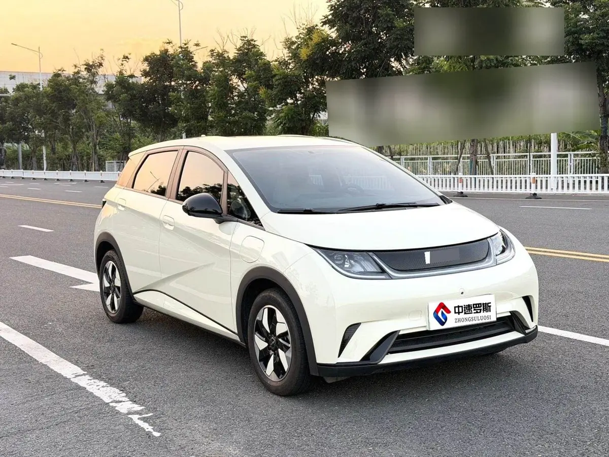 dolphin 2025 420km Freedom Edition — 4