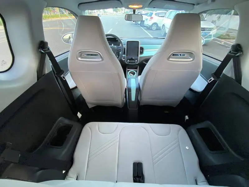 Little Ant 2021 200,000 ant fans model talent version ternary lithium 301km — 8