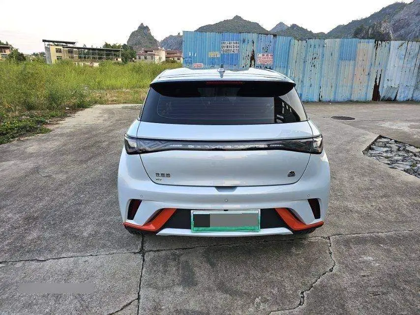 dolphin 2021 405km Freedom Edition — 6