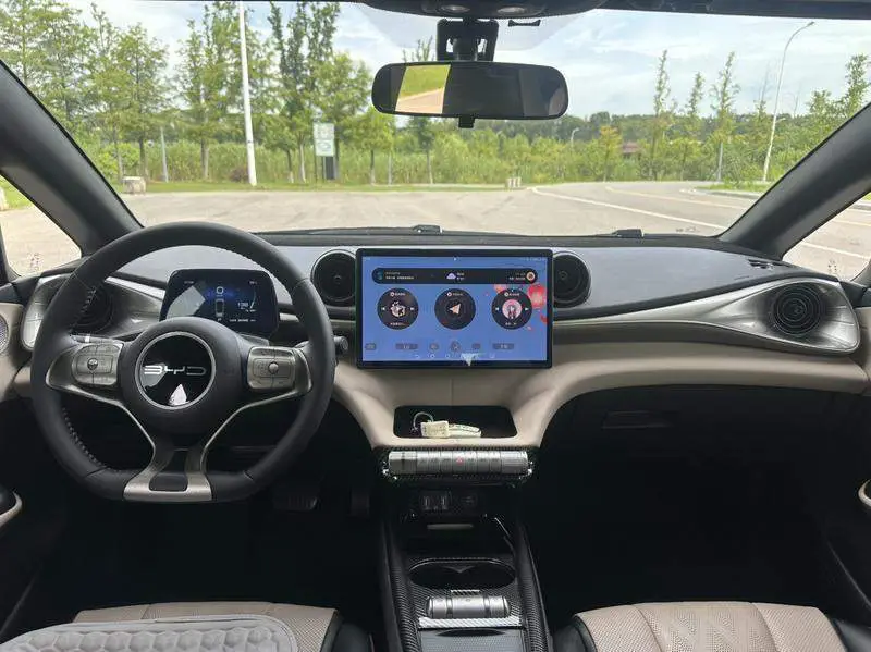 dolphin 2024 Honor Edition 420km Freedom Edition — 10