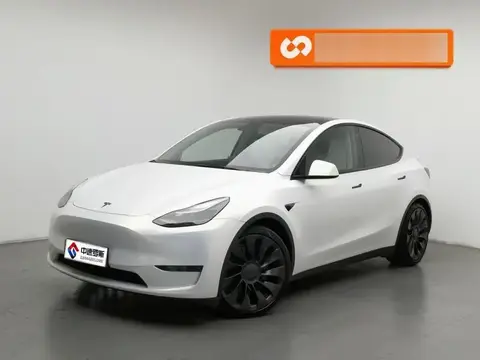 Model Y 2021 Performance All-Wheel Drive