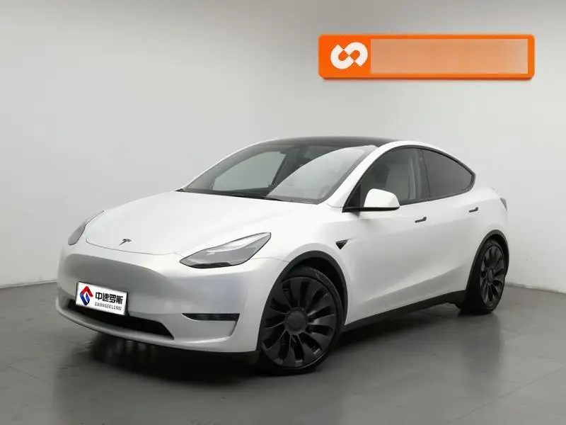 Model Y 2021 Performance All-Wheel Drive