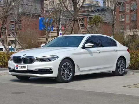 BMW 5 Series 2019 530Li Premium Luxury Package — 1