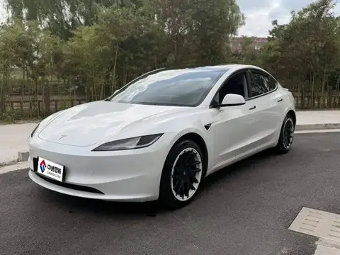 Model 3 2023 rear-wheel drive version
