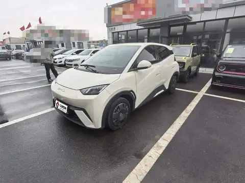 Seagull 2023 Vitality Edition