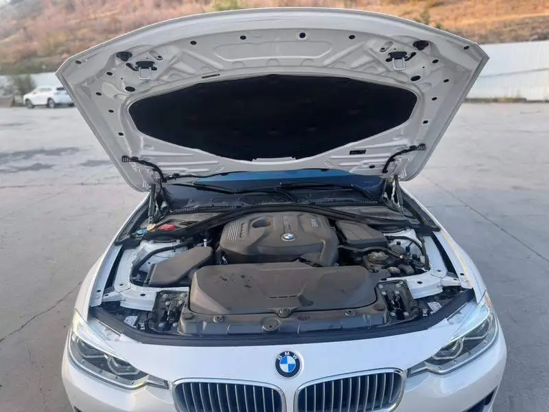 BMW 3 Series 2019 320Li Fashion Edition — 9