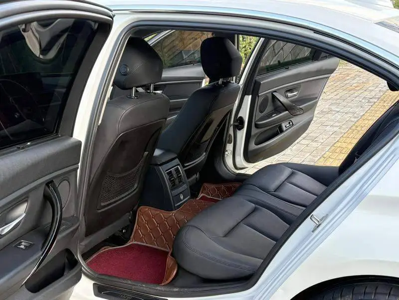 BMW 3 Series 2016 320Li Progressive Edition — 15