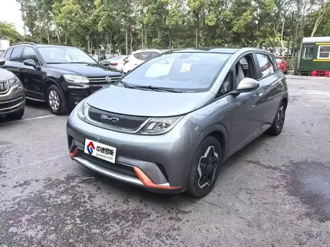 dolphin 2023 420km Fashion Edition
