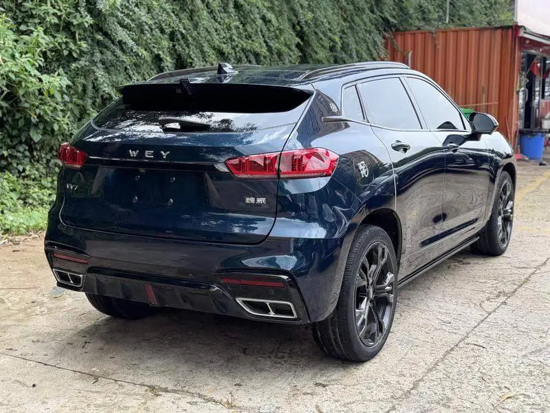Wei brand VV7 2020 2.0T Flagship — 6