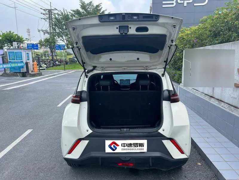 Seagull 2023 Flying Edition — 12