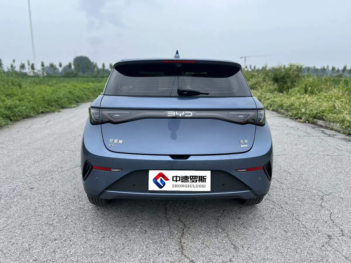 dolphin 2025 Smart Driving Edition 410km Fashion Edition — 5