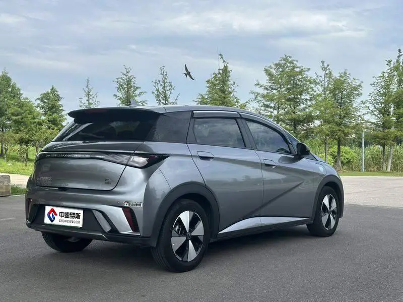 dolphin 2024 Honor Edition 420km Freedom Edition — 6