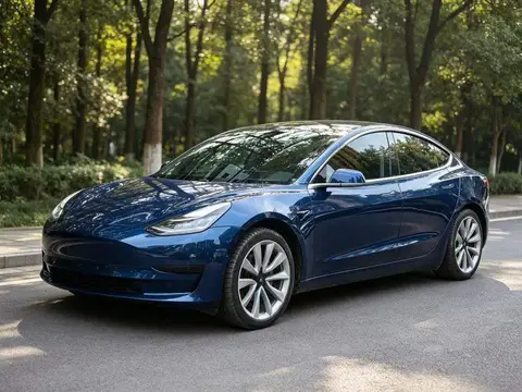 Model 3 2020 Standard Range RWD Upgraded Version