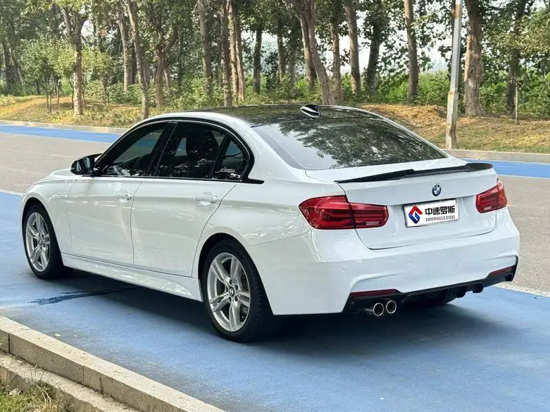 BMW 3 Series 2019 320Li M Sport Package — 4