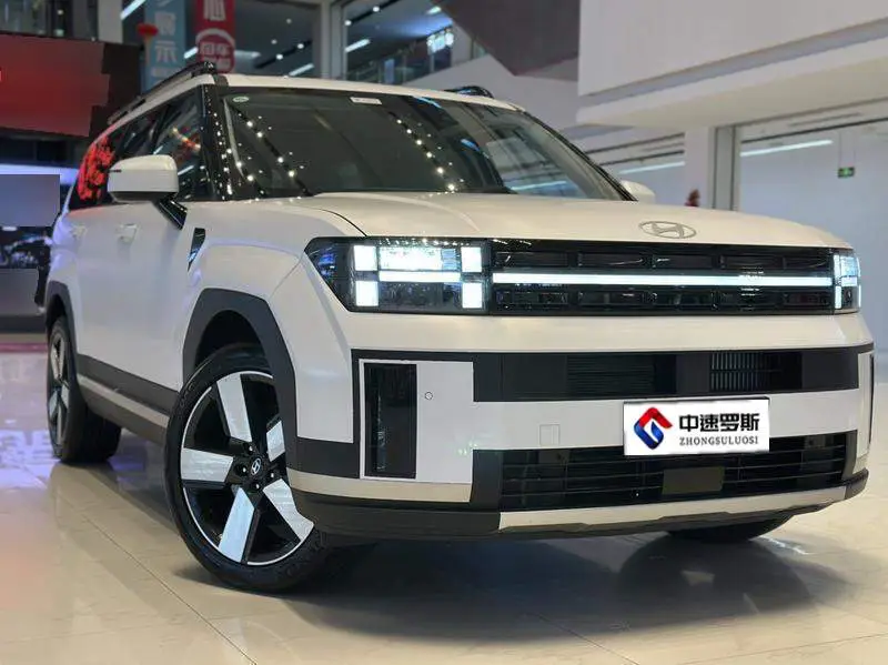 Shengda 2024 2.0T Explorer Pro — 13