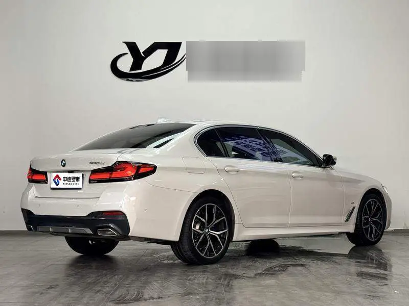 BMW 5 Series 2023 530Li Premium M Sport Package — 6