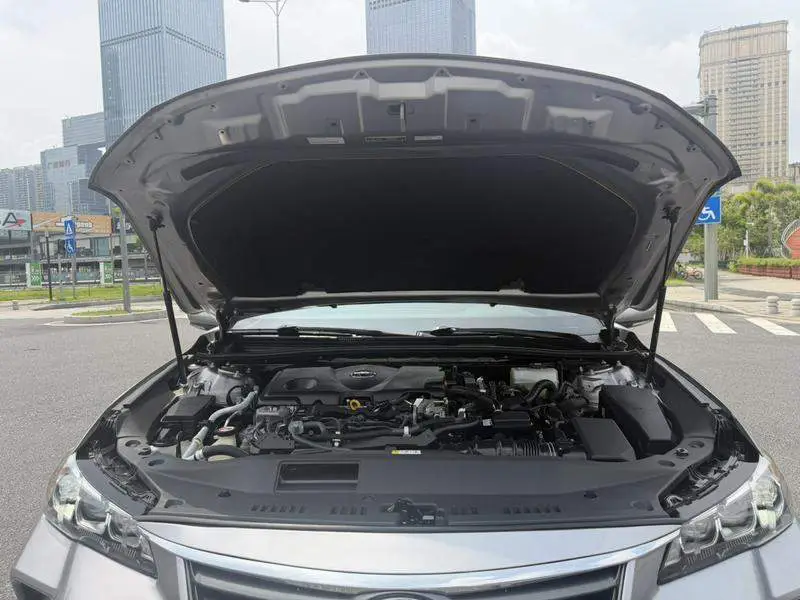 Asian Dragon 2019 Hybrid 2.5L Luxury Edition National VI — 9